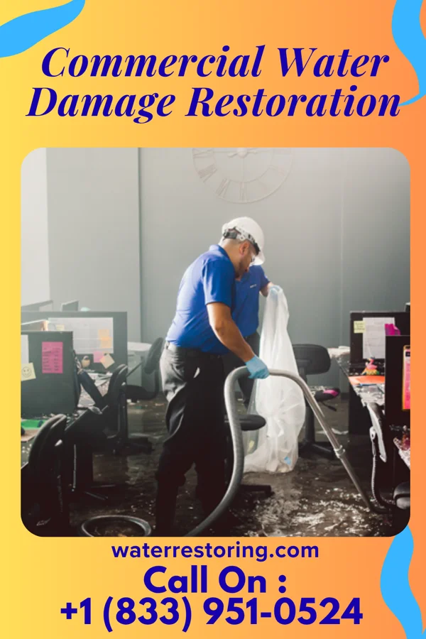 Commercial Water Damage Restoration in Lake Henry, MN